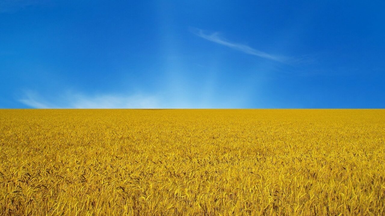 Топ-25 сайтів Уанета за квітень 2019