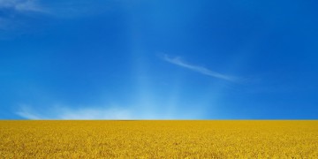 ТОП-25 сайтов Украины