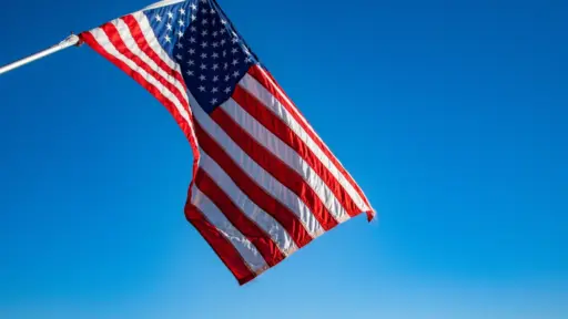 Ринок США: загальні рекламні бюджети скорочуються, проте діджитал зростає